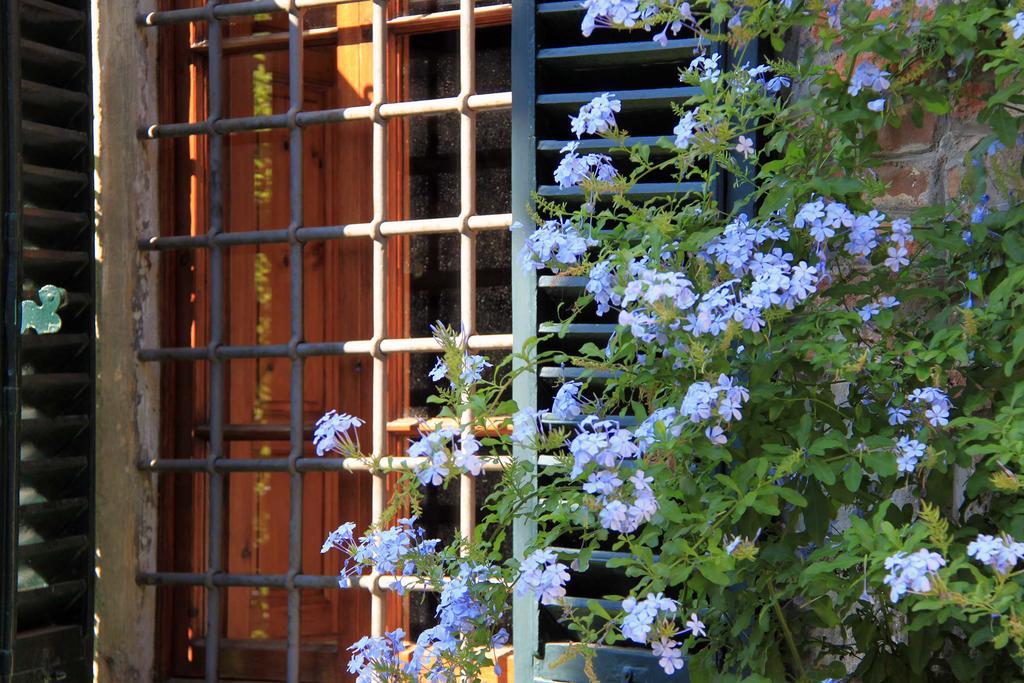 ボルゴ・ア・ブッジャーノ Antica Casa "Le Rondini" Bed & Breakfast エクステリア 写真